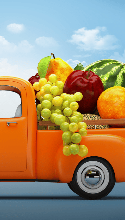 Website Campaign Cover